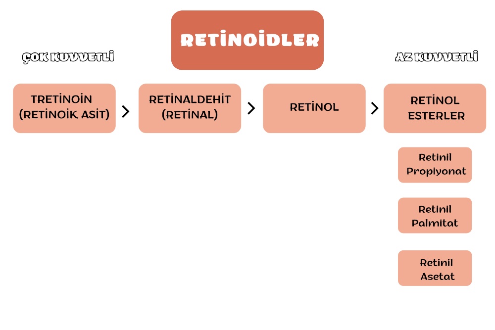 retinol nedir 1