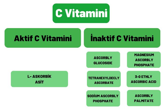 c vitamini faydaları 1